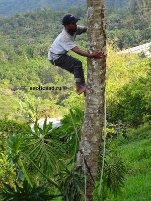 ������ �� ��������� ������