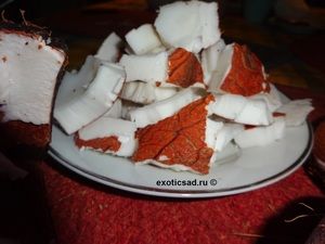 ������������ ����� ��������� ������