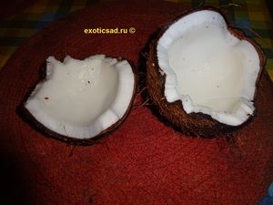 ����� ��������� ������