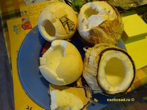 ����� ��������� ������