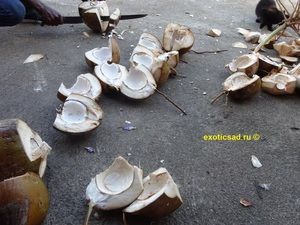 �������� ����� ��������� ������