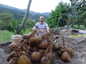 ������ ��������� ������