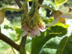 ����� ��������� ������