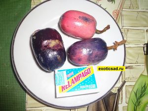 ����� ����