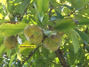 ����� �������� ��������� �� ������