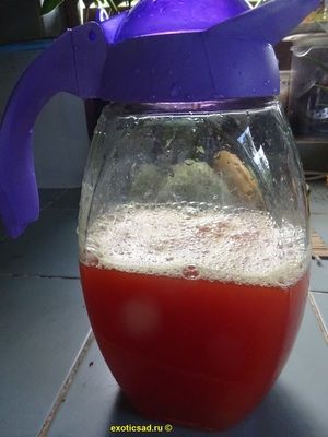 ��� ����������