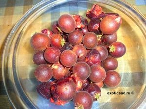 ����� ����������