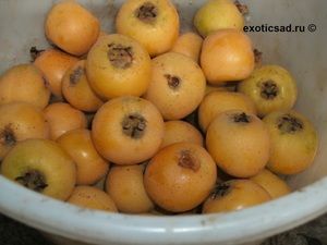 ������� ��������, ���� ������