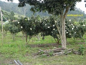 ������� �������� ������� � ����