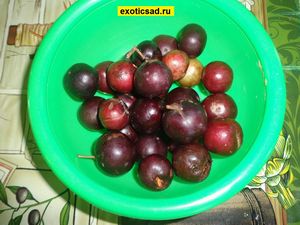 ��������� ���������