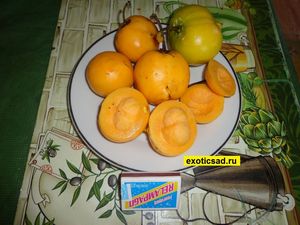 �������� �������