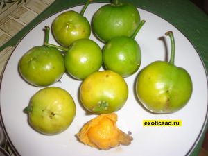 �������� ������� - �� ������ �����