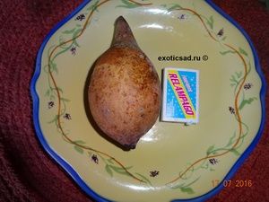 ����� ������