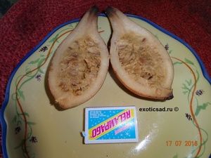 ���� ������ � �������