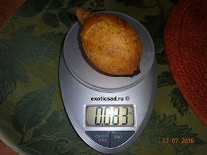 ��� ����� ������ ������������