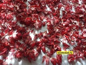 ������� �� �����