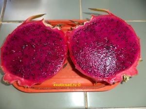 ���� ������� ��������