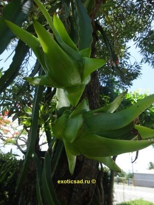 �������� ����� ��������