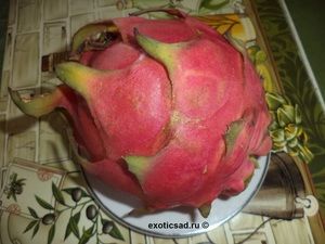 ���� ��������