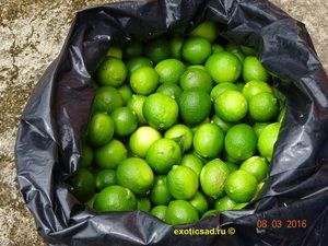 ����� � ������� ����������� �����