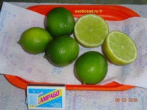 ����� ����������� �����