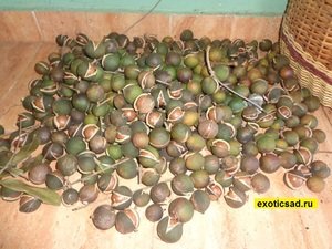 ����� ��������� �������