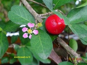 ����� � ����� ���������