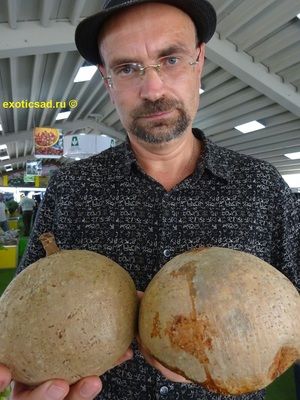 ������ ������������ � �