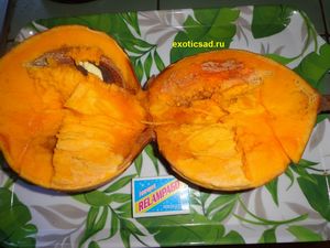 ���� ������ ������������ � �������