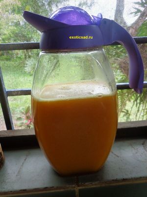 ��� �� ������ ������ ������������