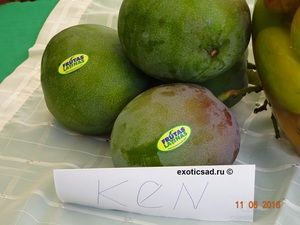 ���� ����� ����� ����