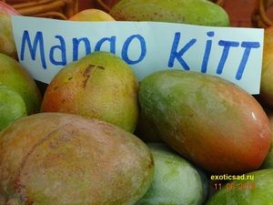 ���� ����� ����� ����