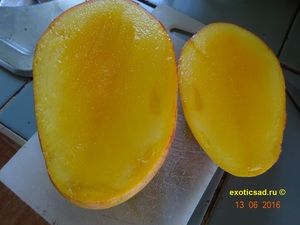 ���� ����� ����� ���������� � �������