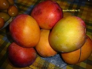 ���� ����� ����� ����� ���