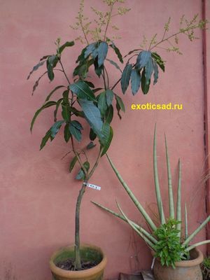 �������� ����� � ������