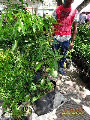 ������� ����� � ������