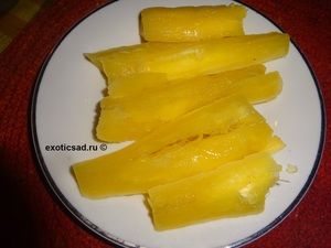 ������ ��������