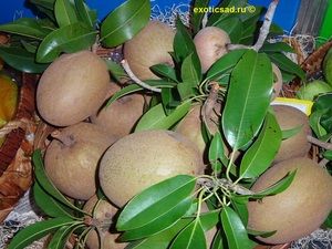 ��������� �������������