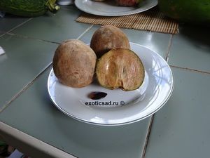 ����� ���������