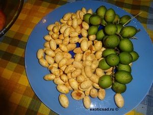 ������ ����������