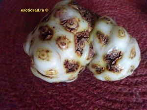 ���� ����