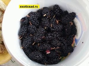 ��������� ������