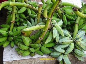 ����� ���� 2