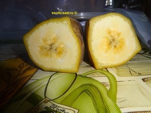 ������� ����� � �������