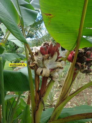 ������������ ����� ����������� �������� ������