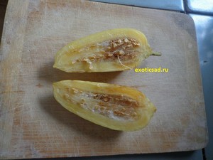 ���� �������� ������