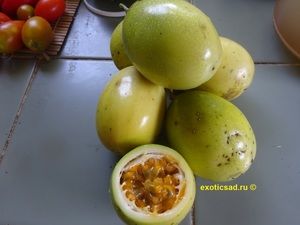 ���� �������� ��������� Ƹ����