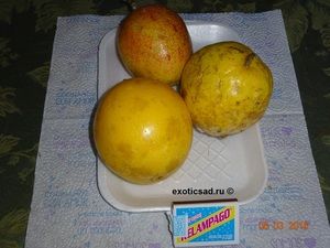 ������ ������ ��������