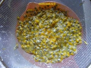 ������ ��������