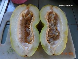 ���� ���������� ���������� � �������